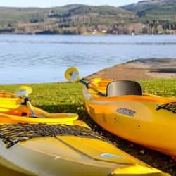 Kayak