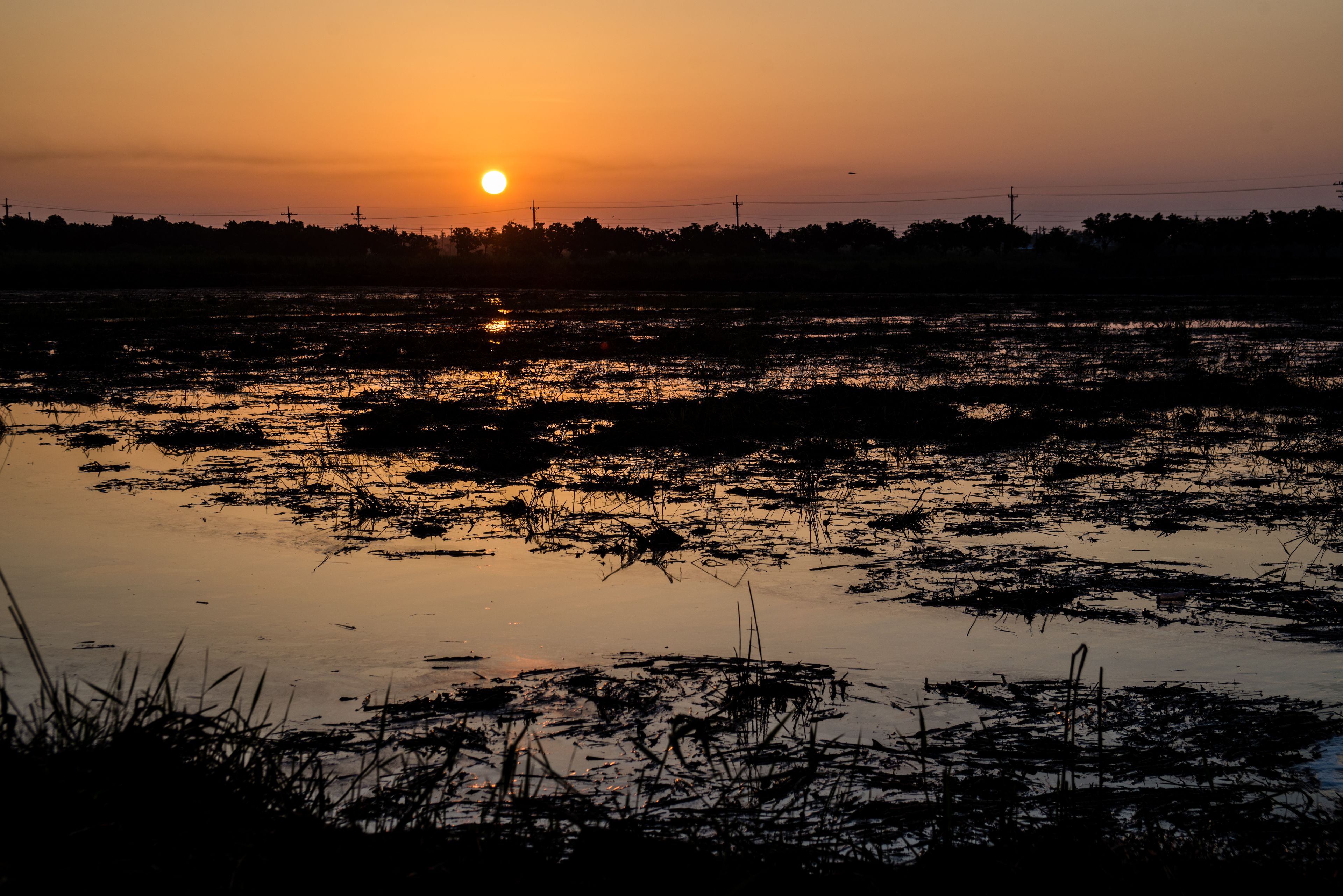 A sunset over a water body with silhouettes of trees and power lines.