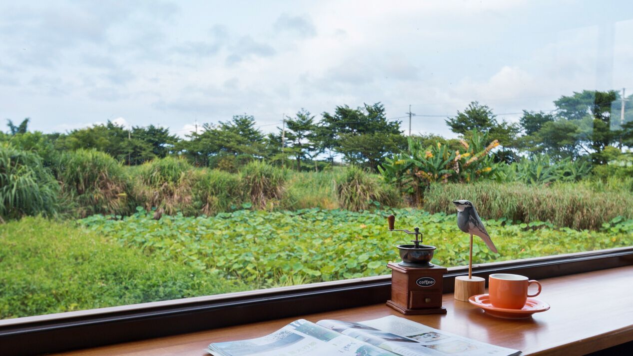 42-inch LCD TV with cable channels, TV