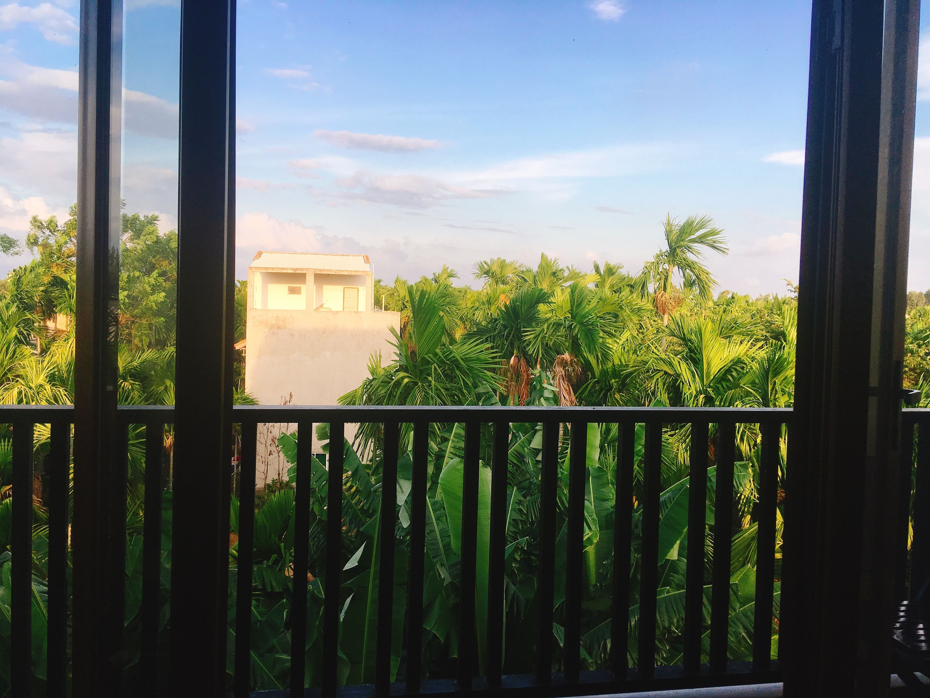 Uma varanda com vista para um edifício rodeado por vegetação exuberante.