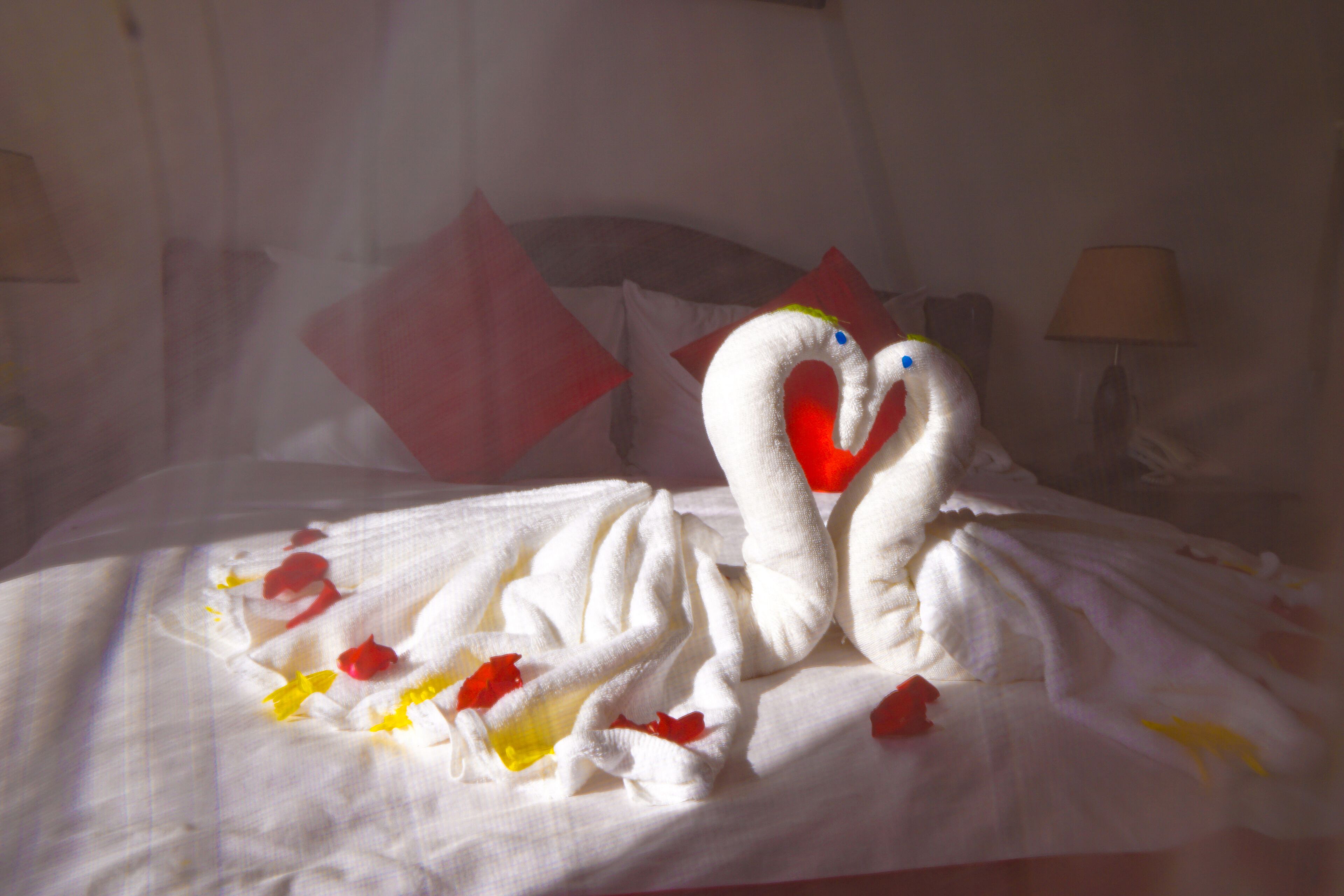 Un letto decorato con un'elegante composizione a forma di cigno e petali di rosa sparsi.