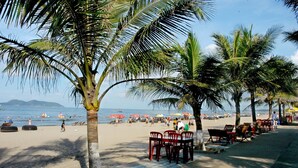 Una playa con palmeras, sillas de playa y sombrillas.