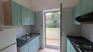 Apartamento, 2 quartos (6 PAX) | Cozinha privada | Geladeira grande, cooktop, cafeteira/chaleira