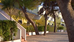 A courtyard with a gravel path, palm trees, and a building with a yellow facade and white trim. - Argeste Club Vacanze (Vieste)