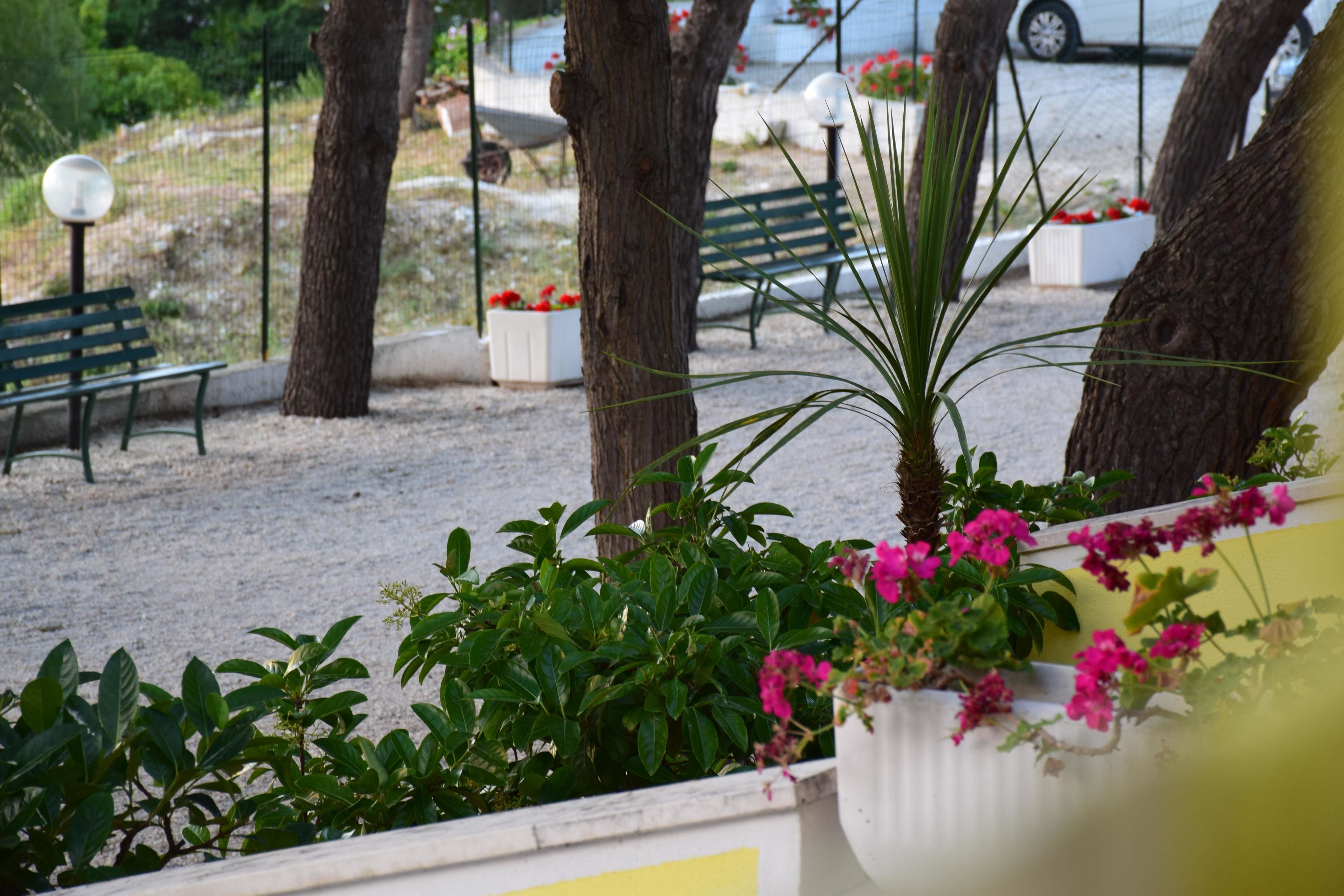 Photo - Argeste Club Vacanze