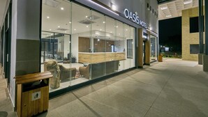 A modern hotel exterior with a reception desk, glass doors, and a wooden bench outside.