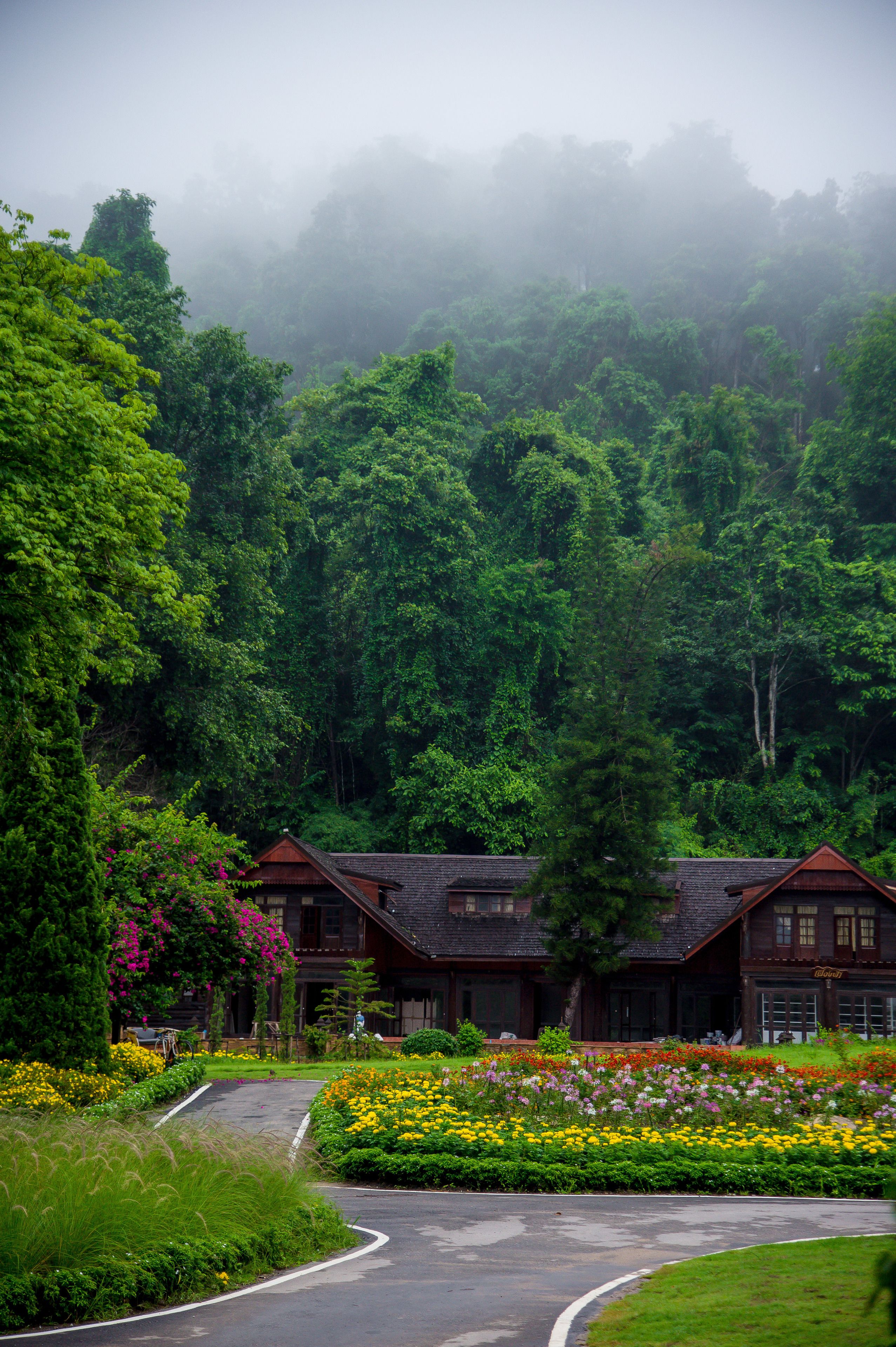 Foto - Flora Creek Chiang Mai
