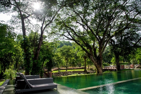 Outdoor pool, sun loungers