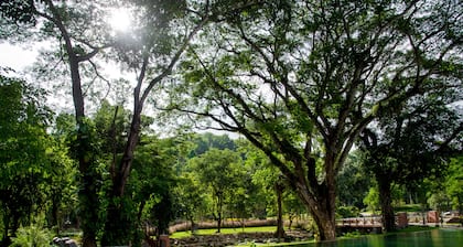 Flora Creek Resort & Garden Chiang Mai