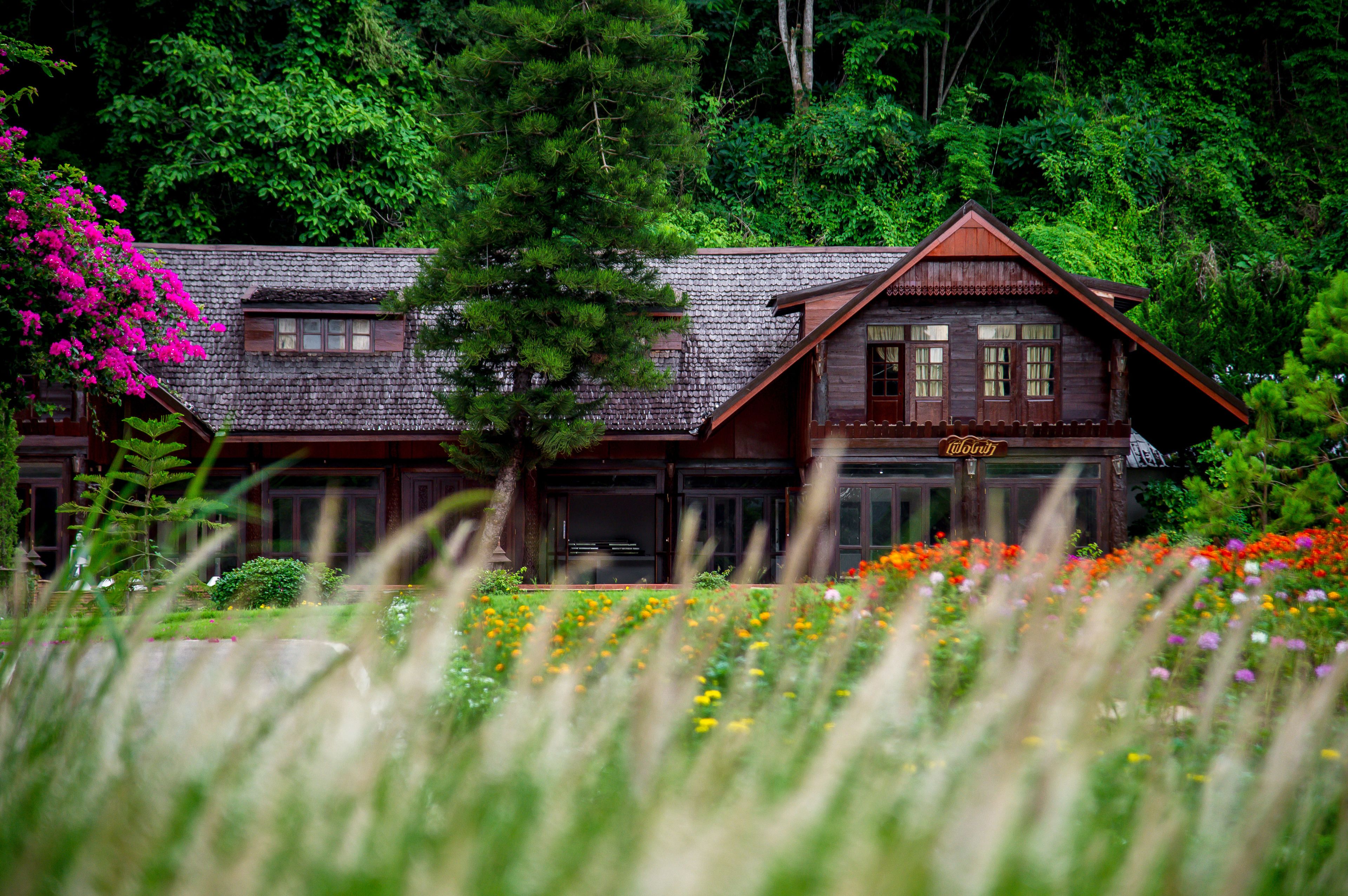 Photo - Flora Creek Chiang Mai