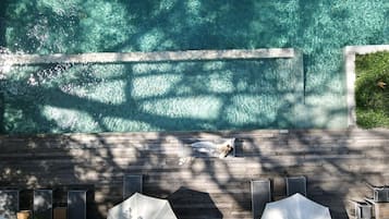 Outdoor pool, pool loungers