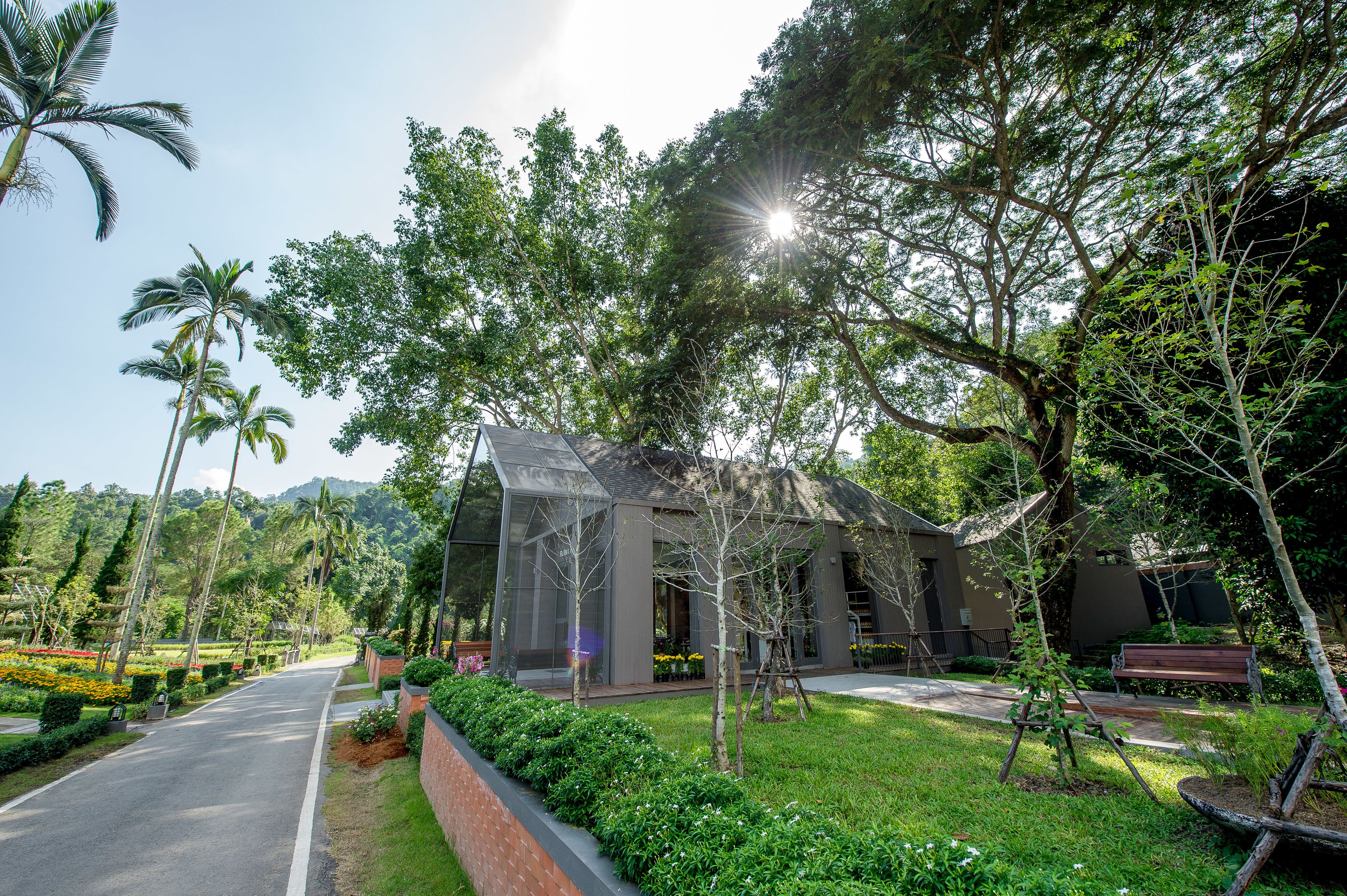 Photo - Flora Creek Chiang Mai