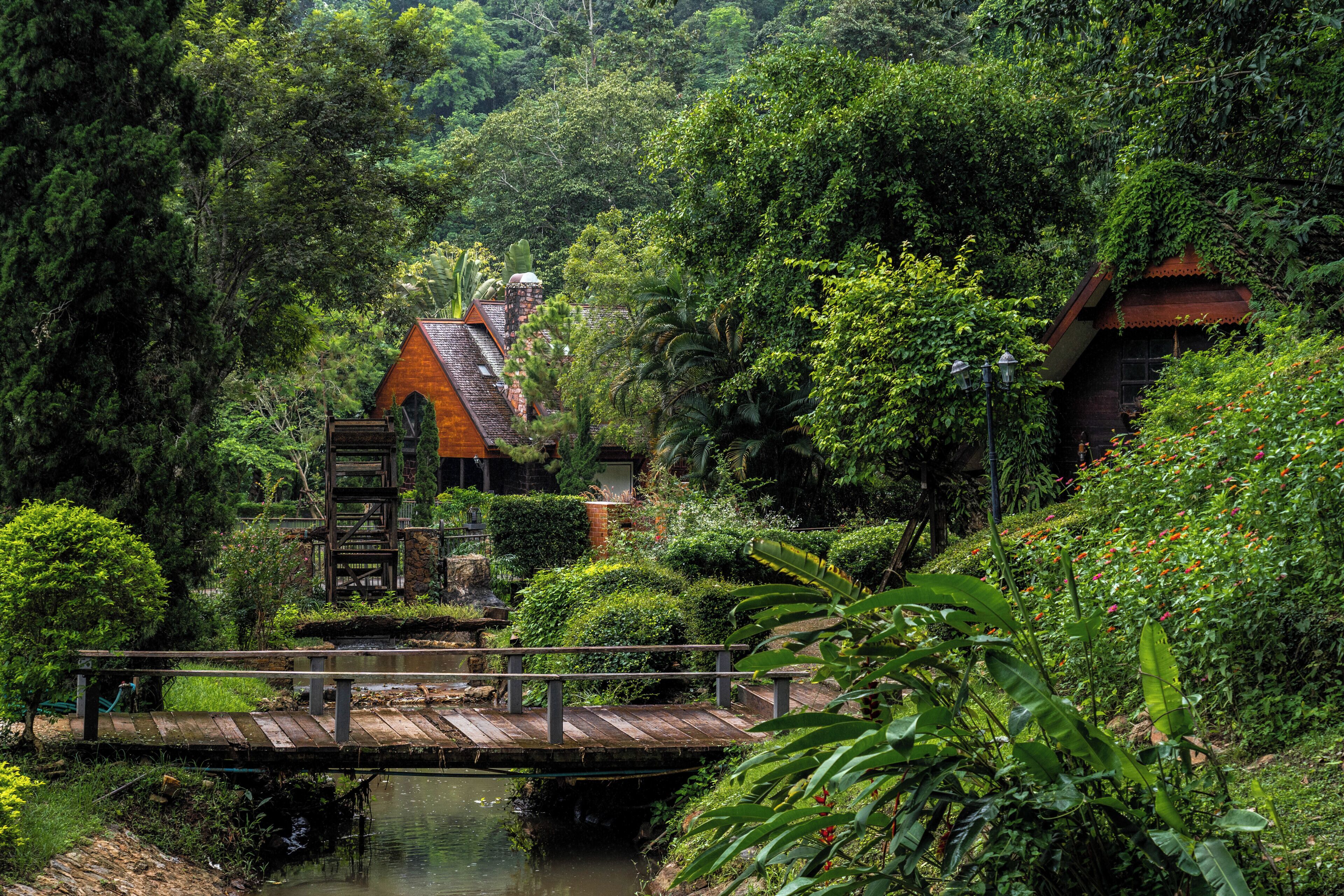 Foto - Flora Creek Chiang Mai