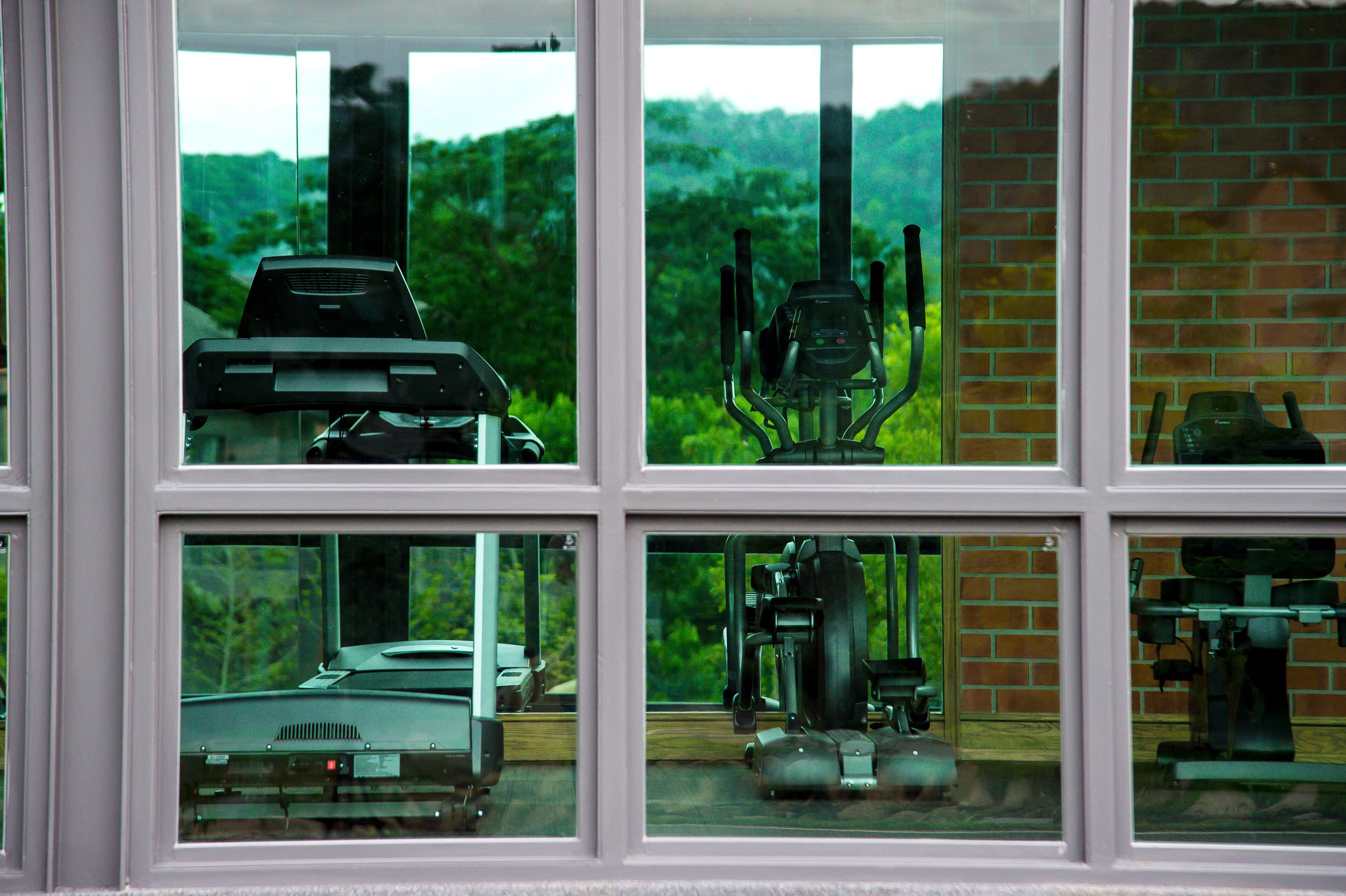 Photo - Flora Creek Chiang Mai