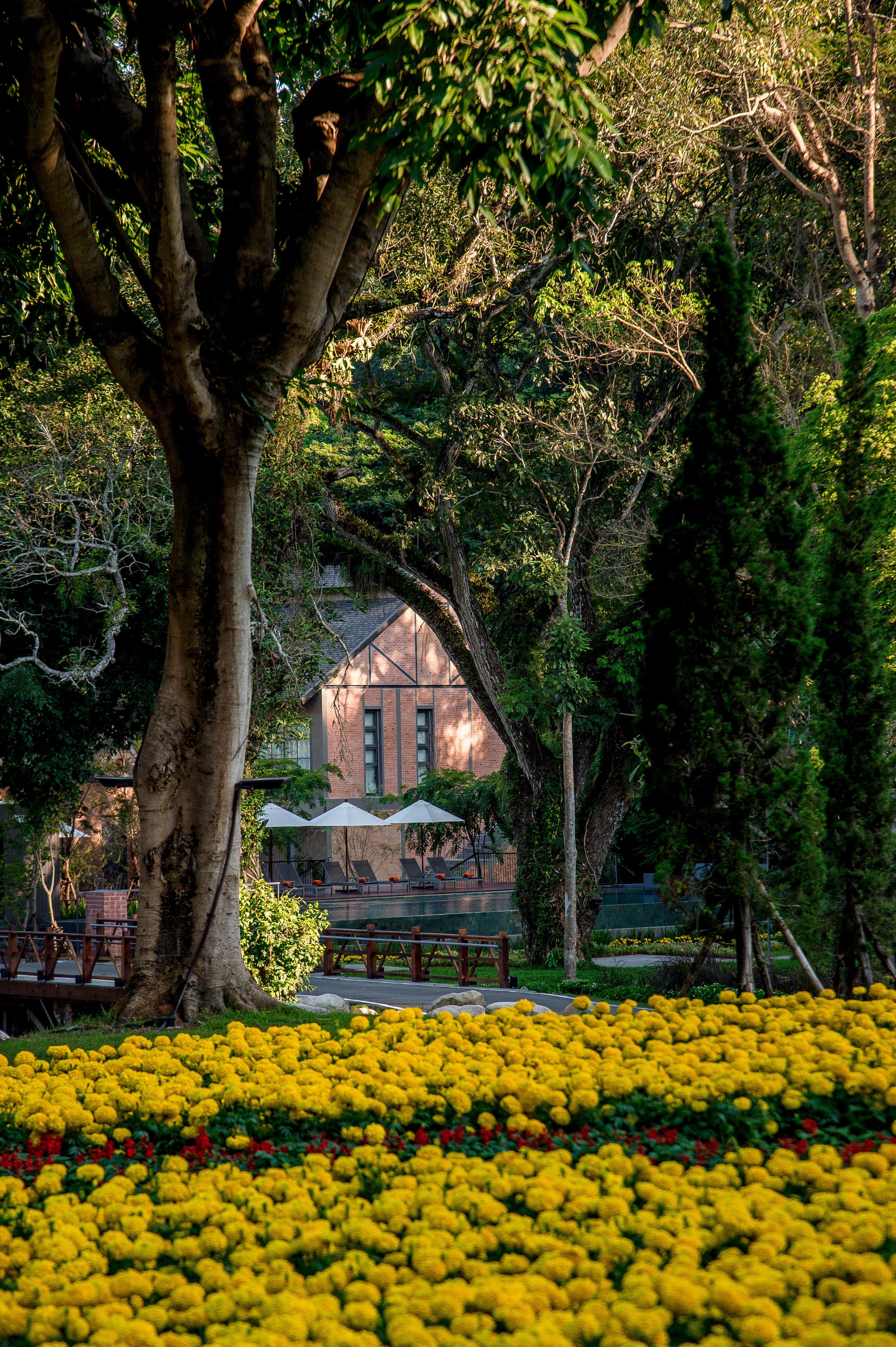 Photo - Flora Creek Chiang Mai