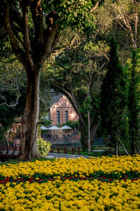 Un patio con un árbol grande, flores amarillas y un edificio con techo inclinado.
