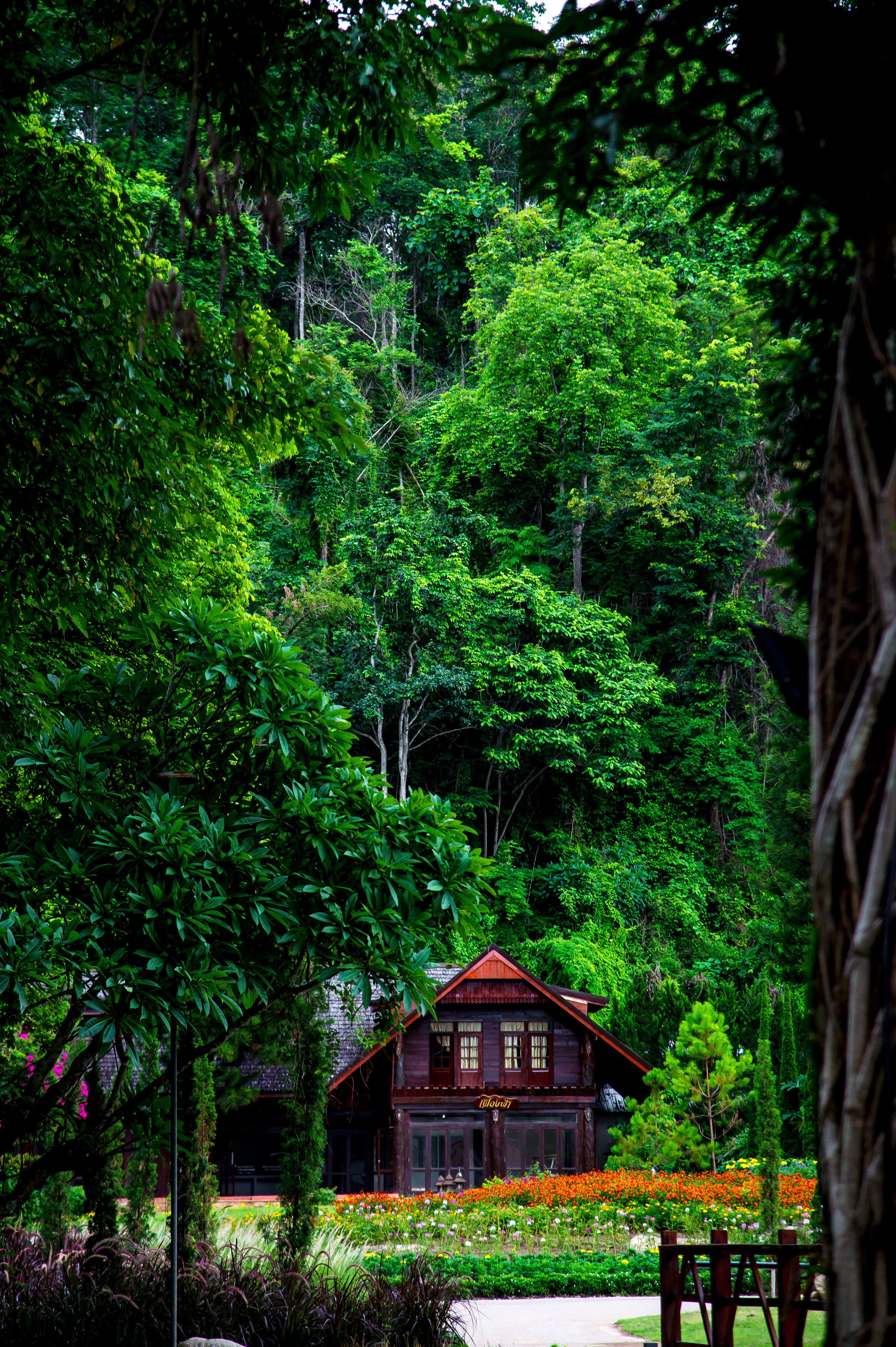Photo - Flora Creek Chiang Mai