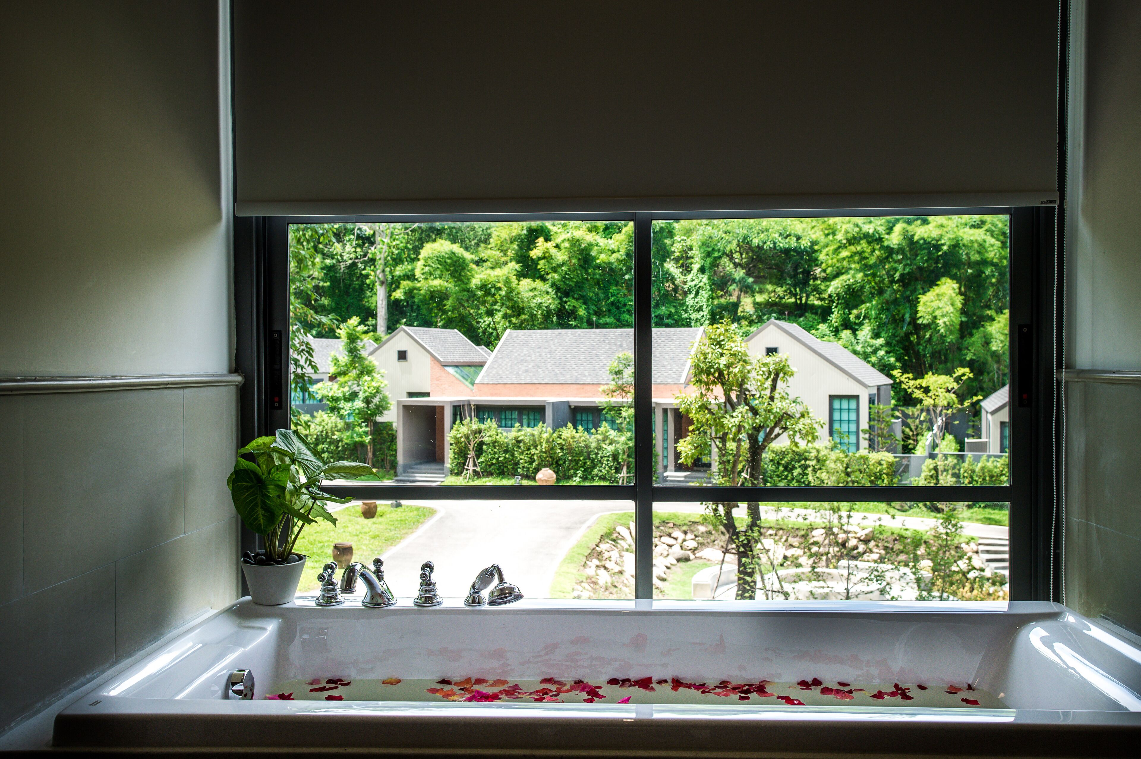 Photo - Flora Creek Chiang Mai