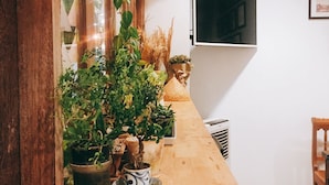 A wooden dining table with potted plants, a TV mounted on the wall, and a chair.
