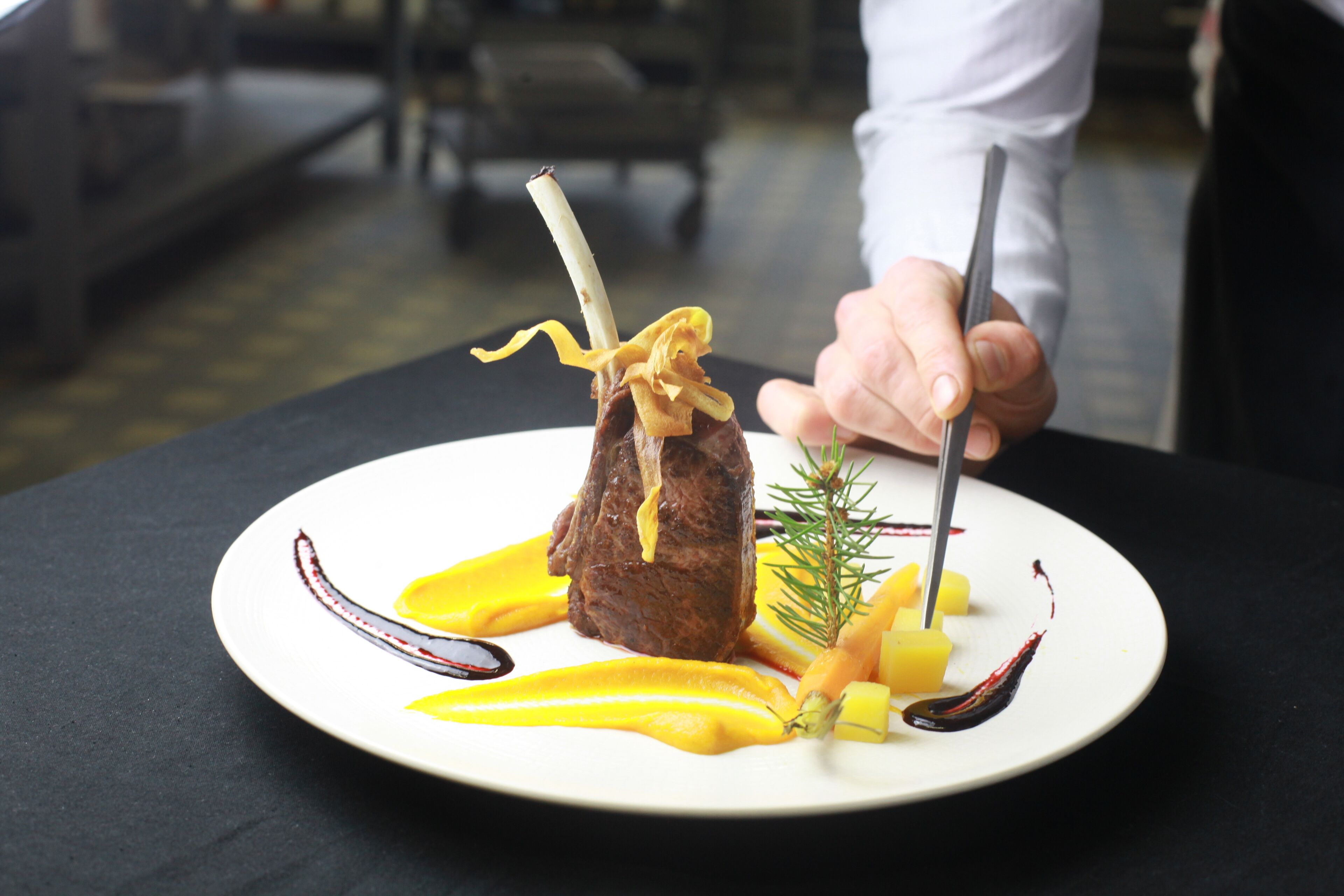 A plate with a meat dish, yellow sauce, and a sprig of herb.