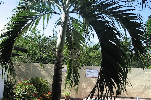 Alberca al aire libre