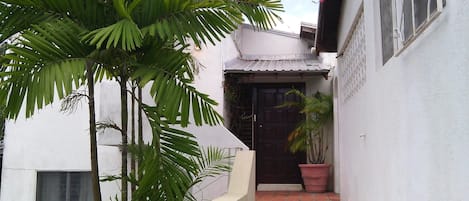 Un estrecho pasillo exterior con una planta en maceta y una puerta al final.