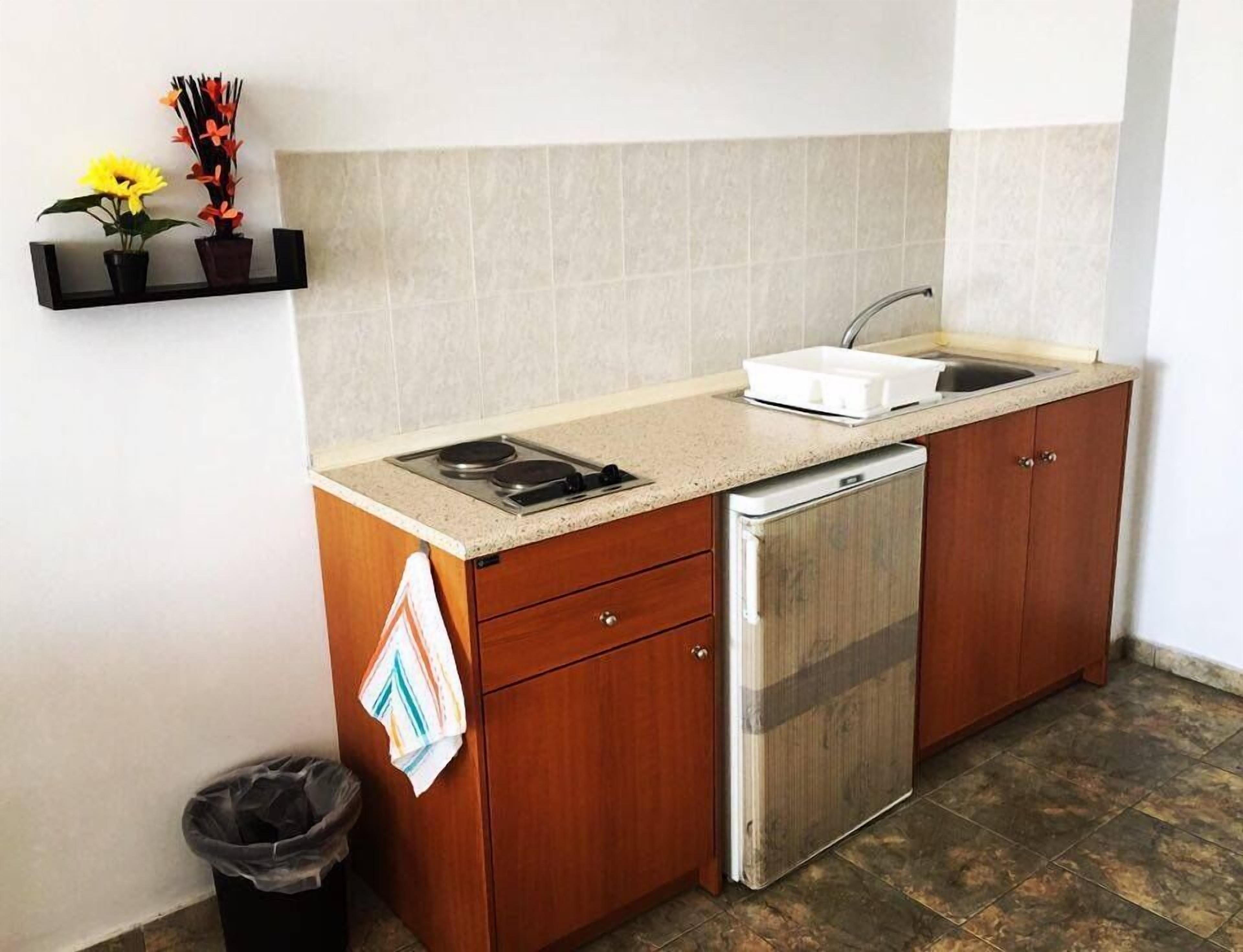 standard room, sea view | private kitchenette | fridge, stovetop, electric kettle, cookware/dishes/utensils