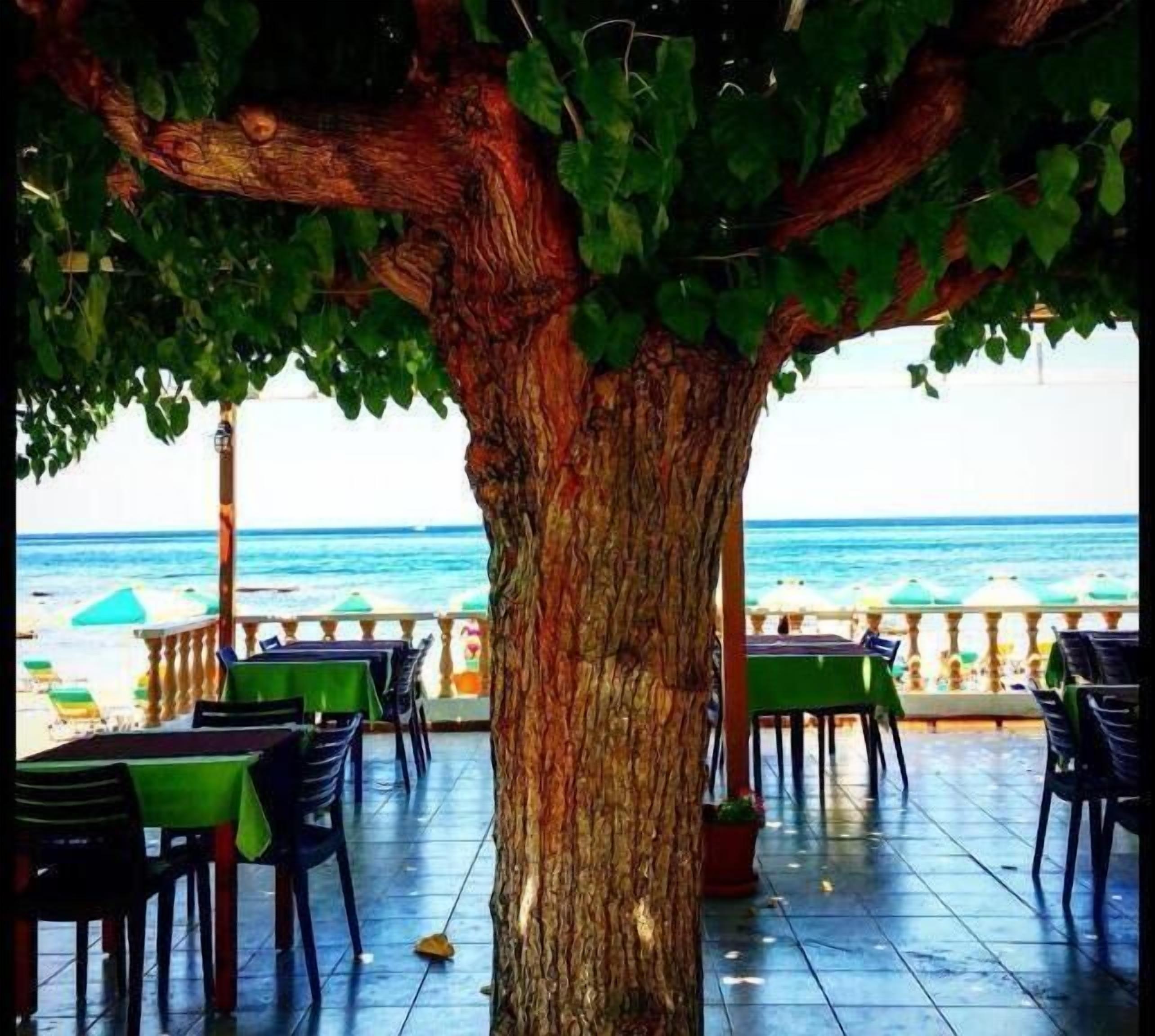 breakfast, lunch, dinner served; mediterranean cuisine