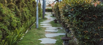 Big Brother Surf Inn