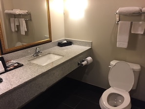 A bathroom with a granite countertop sink, a mirror with a gold frame, a toilet, and towels on a rack.