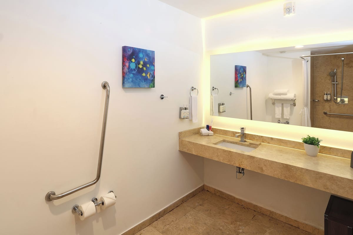 Standard Room, 1 King Bed, Accessible | Premium bedding, down comforters, in-room safe, individually furnished