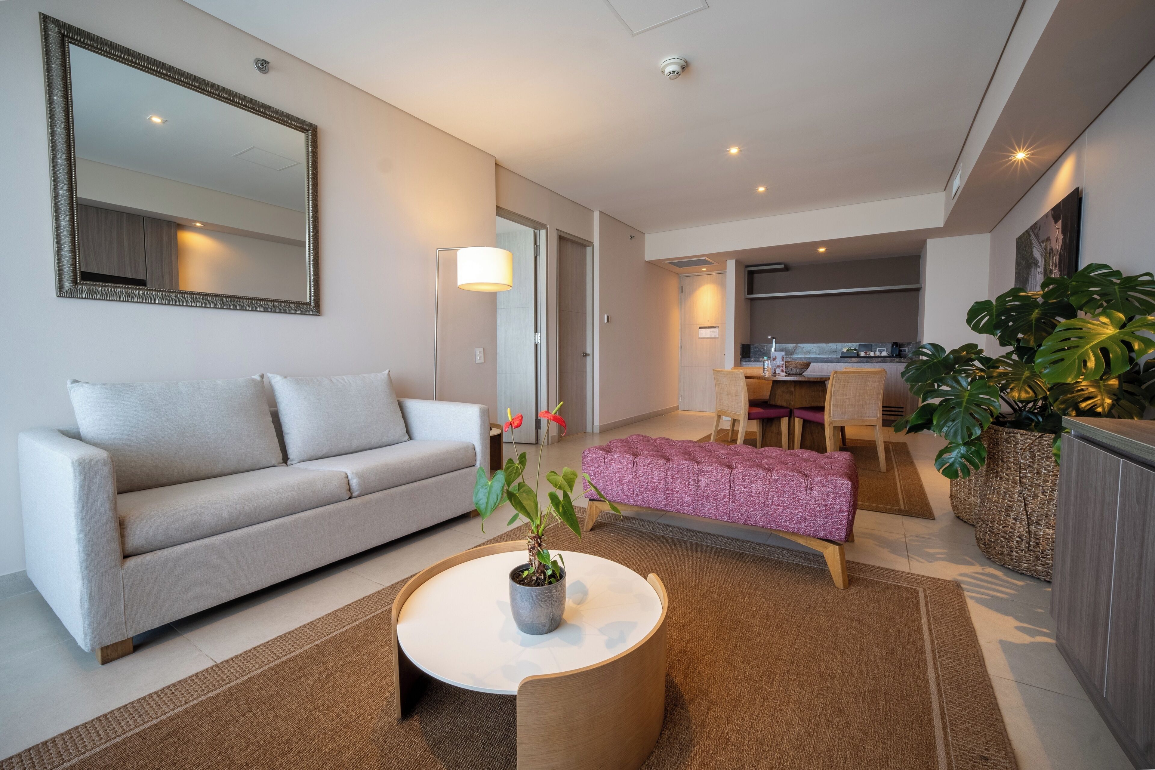 A modern living room with a sofa, a coffee table, and a potted plant.