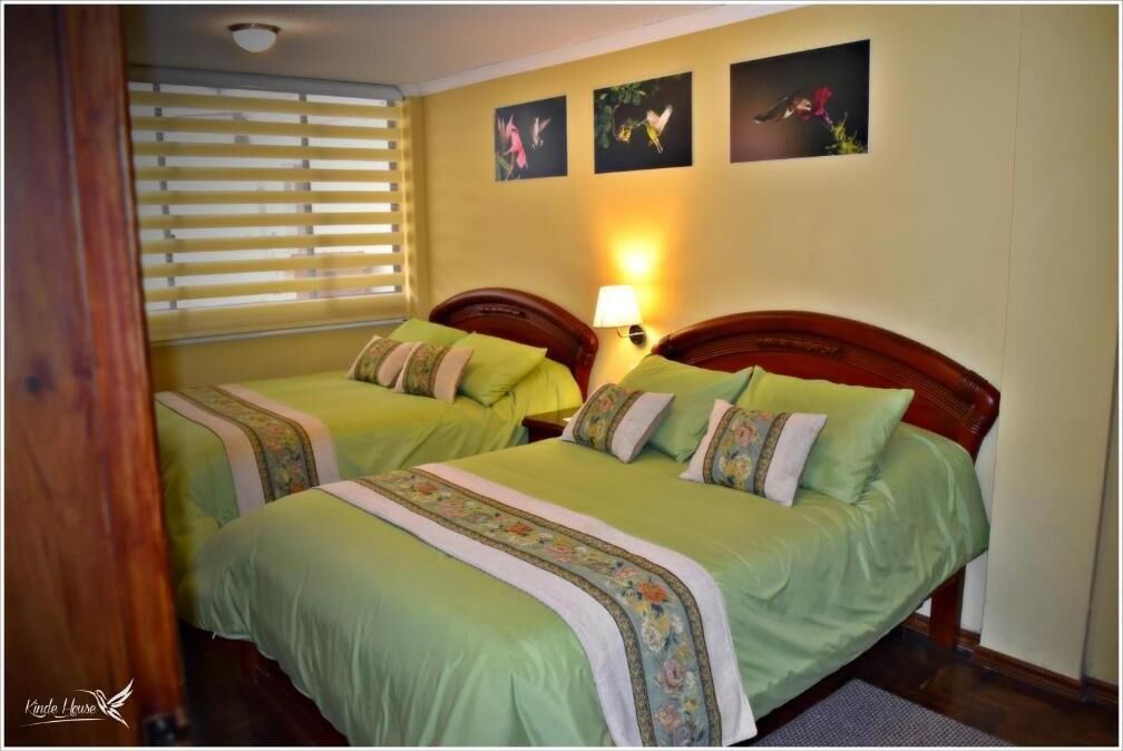 Una habitación de hotel con dos camas, cada una con ropa de cama verde y almohadas decorativas. Hay una lámpara de pared en el lado derecho de la cama.