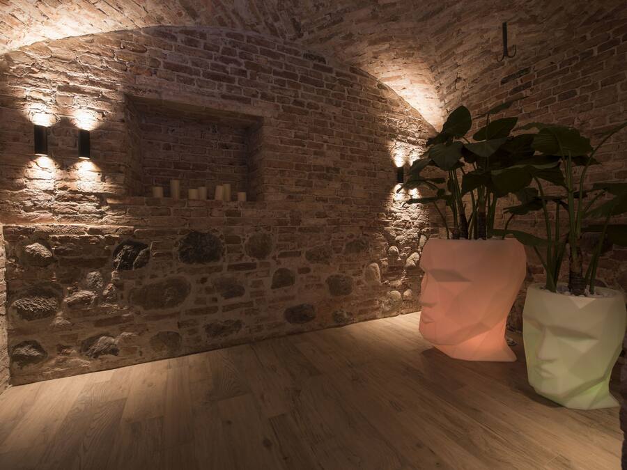 A stone-walled room with wooden flooring, two wall-mounted lights, and large potted plants.