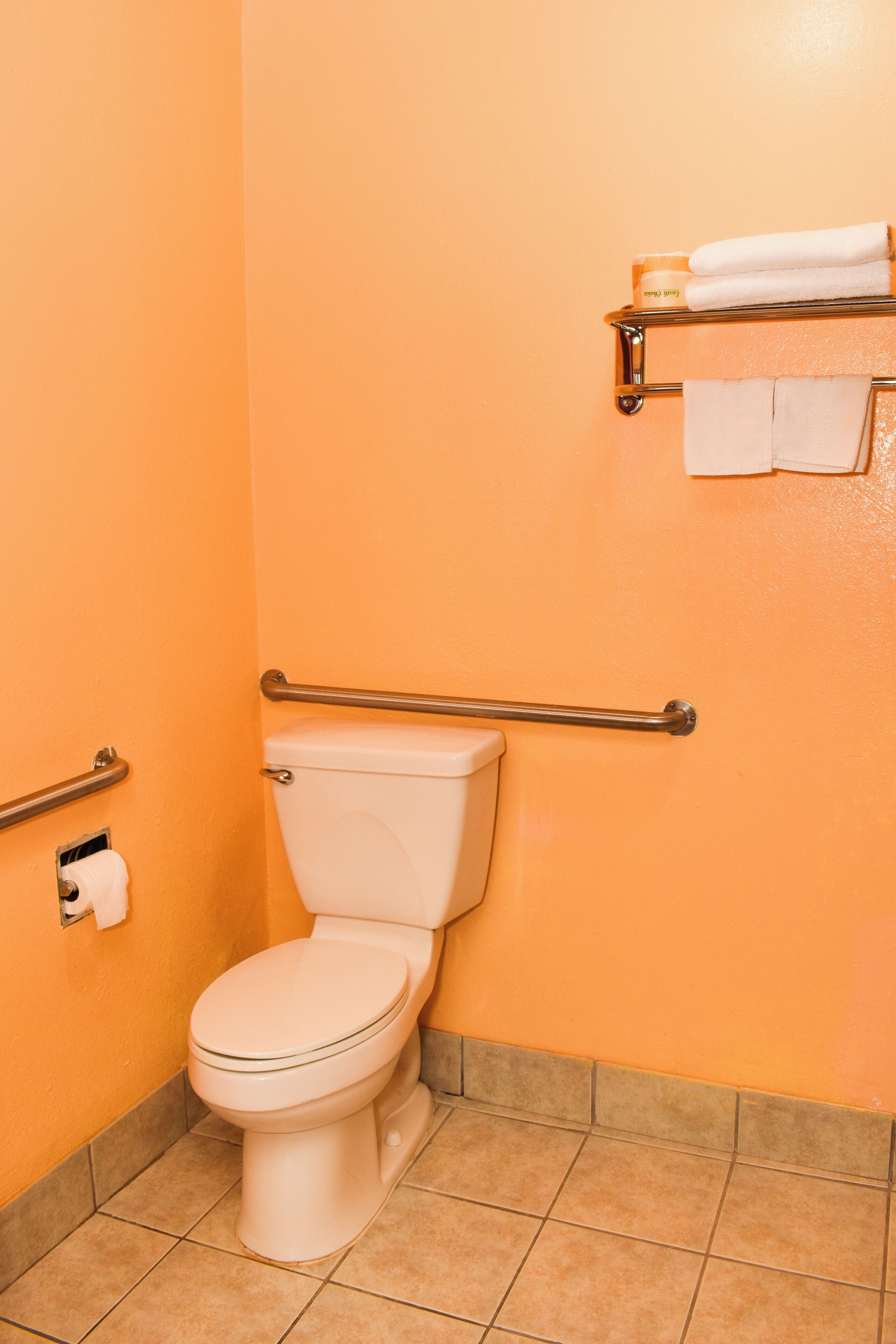 A bathroom with a white toilet, a handrail, a towel rack with towels, and a toilet paper holder.