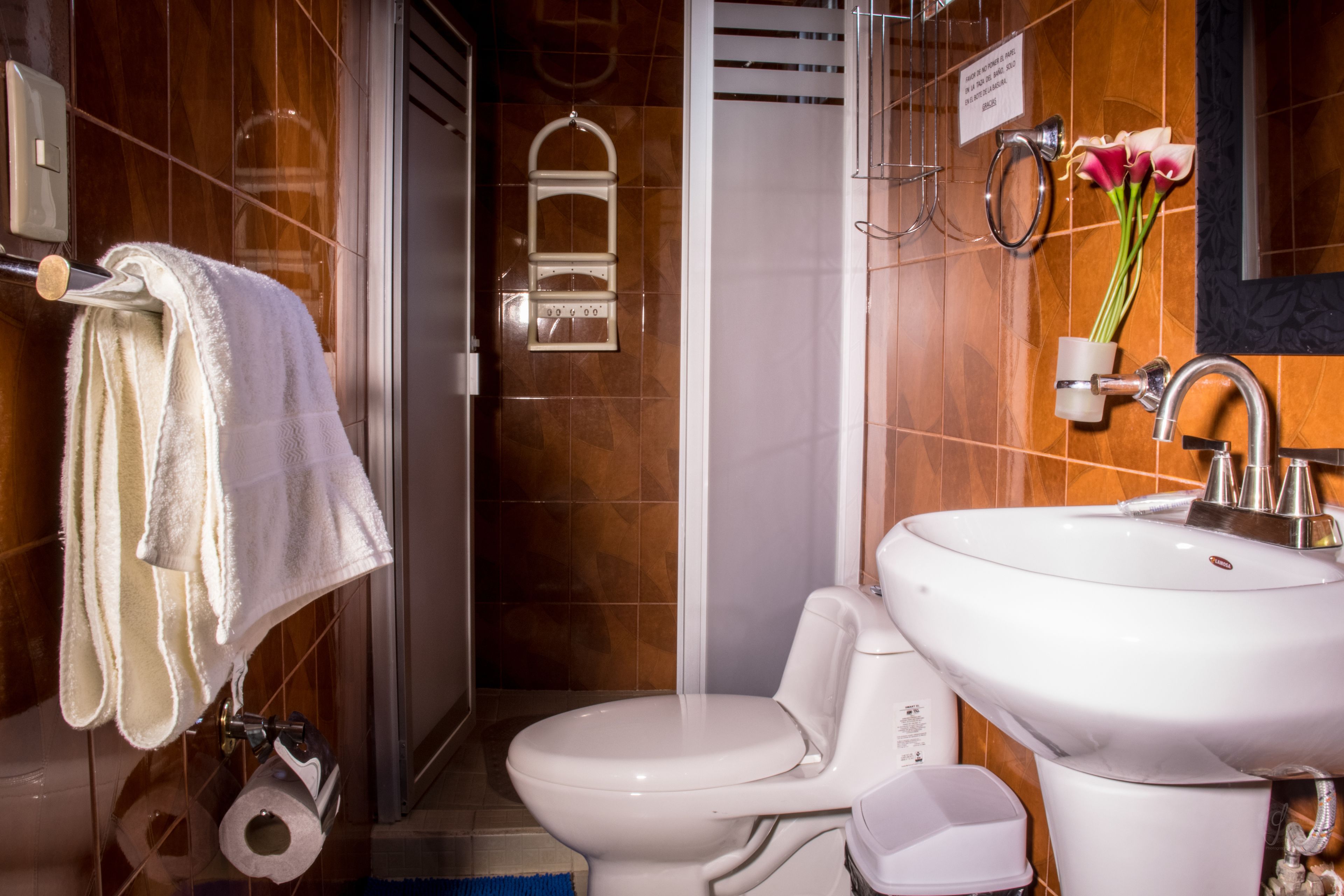 Chambre Double, 1 lit double, terrasse | Salle de bain | Douche, articles de toilette gratuits, serviettes fournies