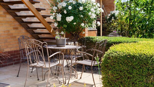 A patio with metal chairs and a table, surrounded by a potted plant with white flowers and a neatly trimmed hedge.