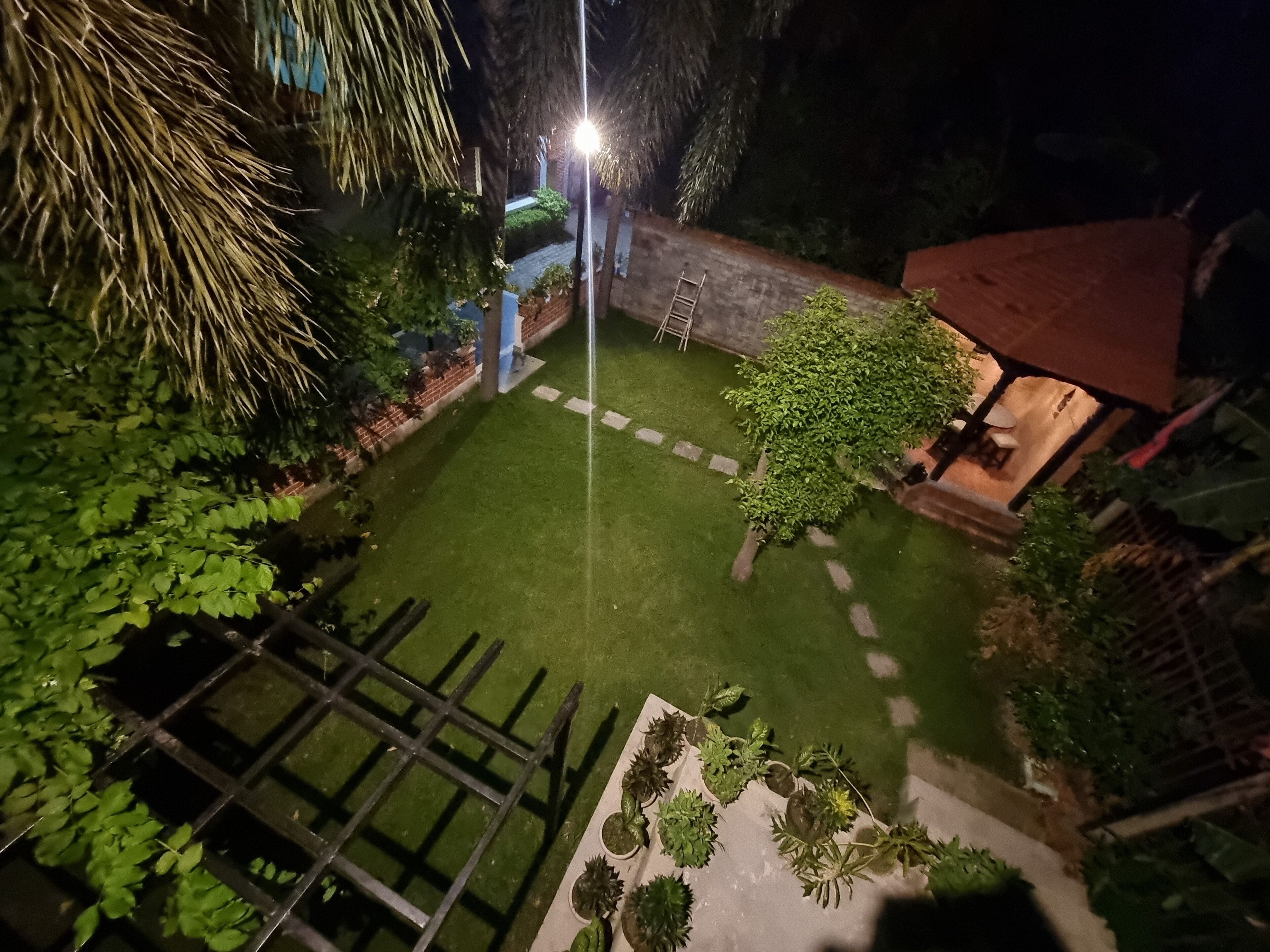 Un giardino curato con prato, diverse piante e una recinzione in legno.