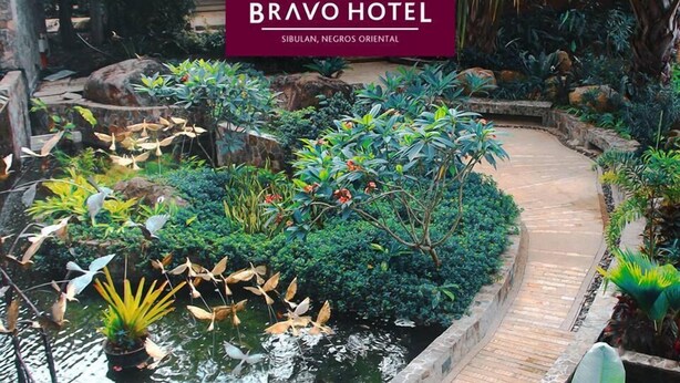 Un jardín con un estanque, diversas plantas y un pasillo de madera.
