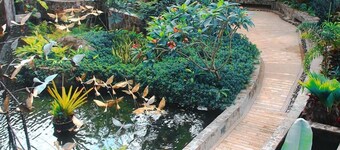 Bravo Hotel and Resorts