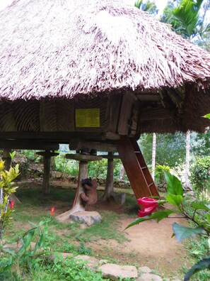 A rustic hut with a thatched roof, wooden beams, and a signboard.