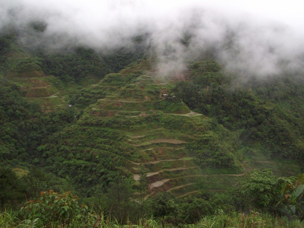 Terraced rice fields with a path leading through them.