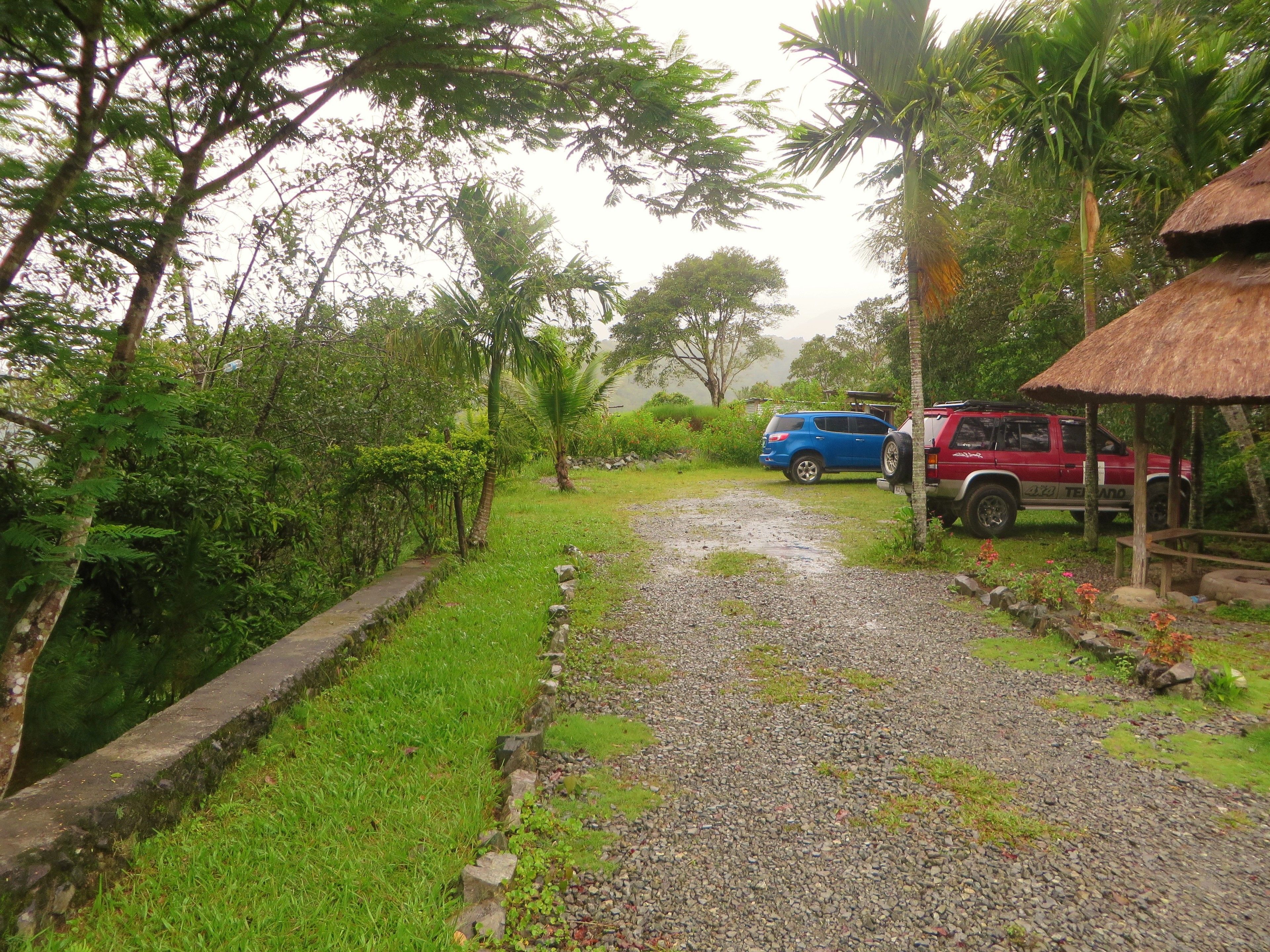 A gravel path leading to a thatched-roof structure, surrounded by lush greenery and parked vehicles.