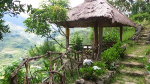 A rustic thatched-roof structure surrounded by lush greenery and stone steps. - Native Village Inn (Banaue)
