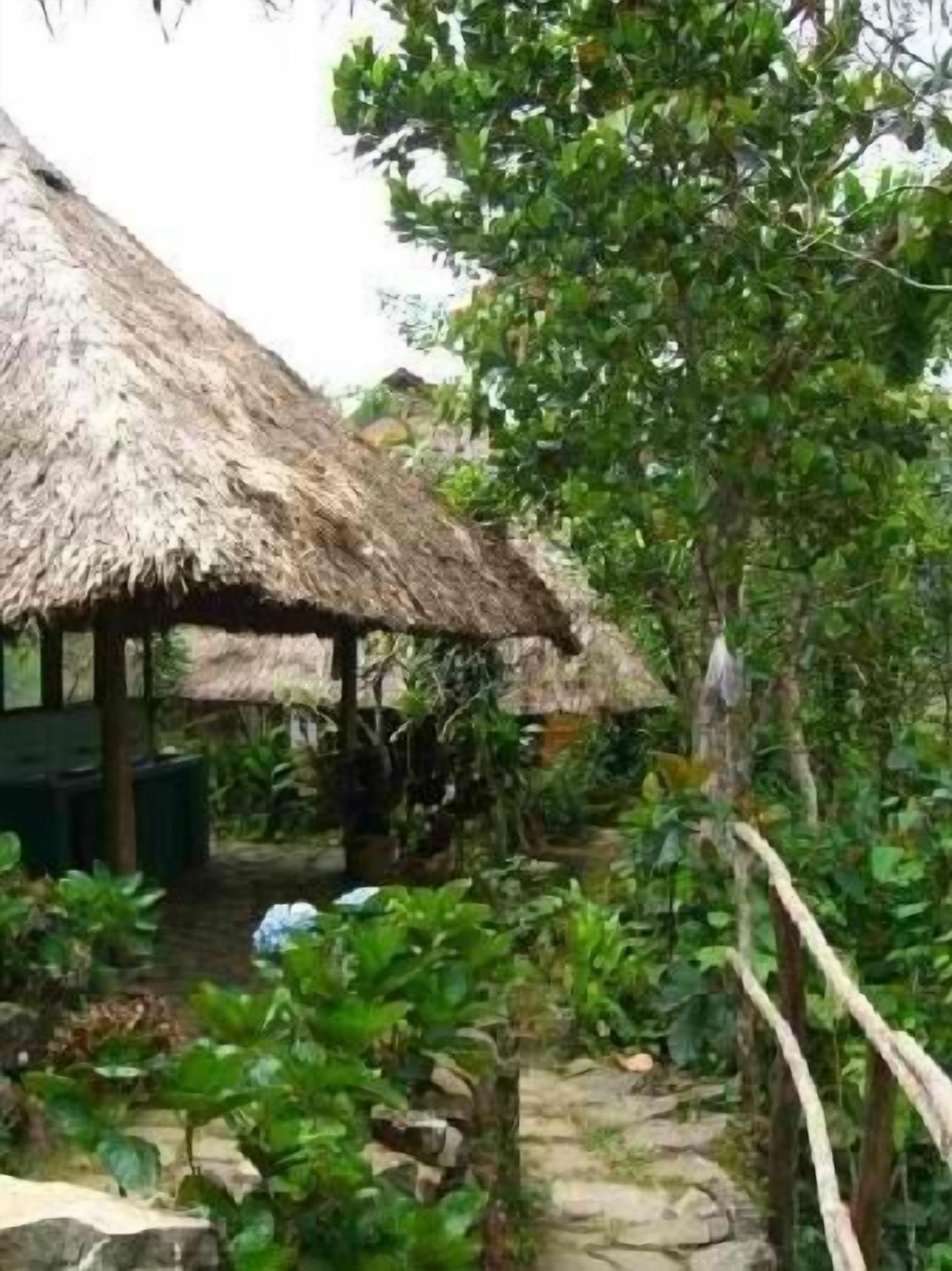 A thatched-roof structure with a stone pathway leading to it, surrounded by lush greenery.
