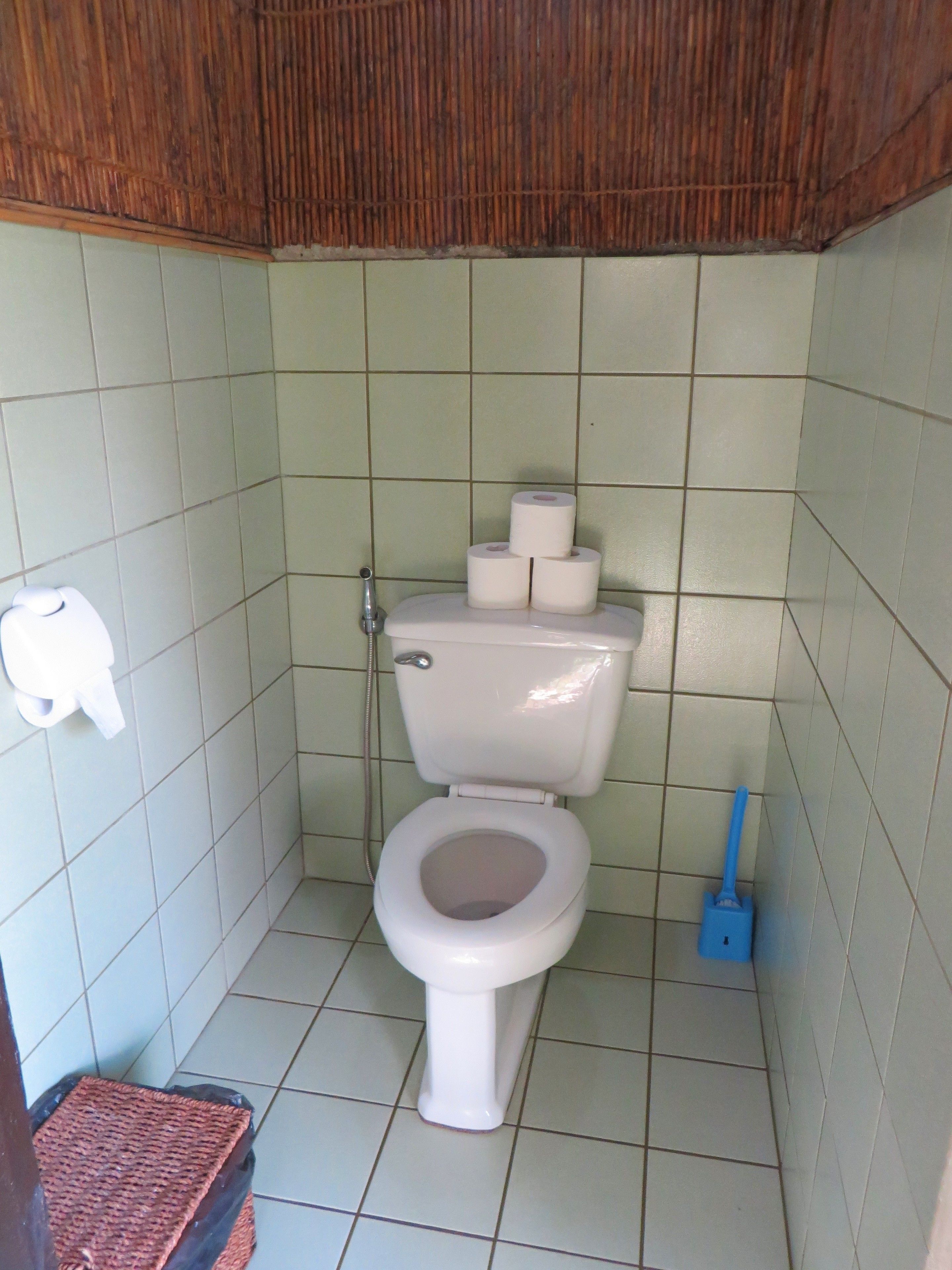 A small bathroom with a toilet, a blue cleaning brush, and a roll of toilet paper on the wall.