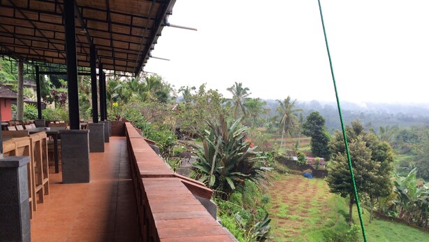 A terrace with a view of a lush landscape, including palm trees and a hilly background. - Pacung Indah Hotel and Restaurant (Baturiti)