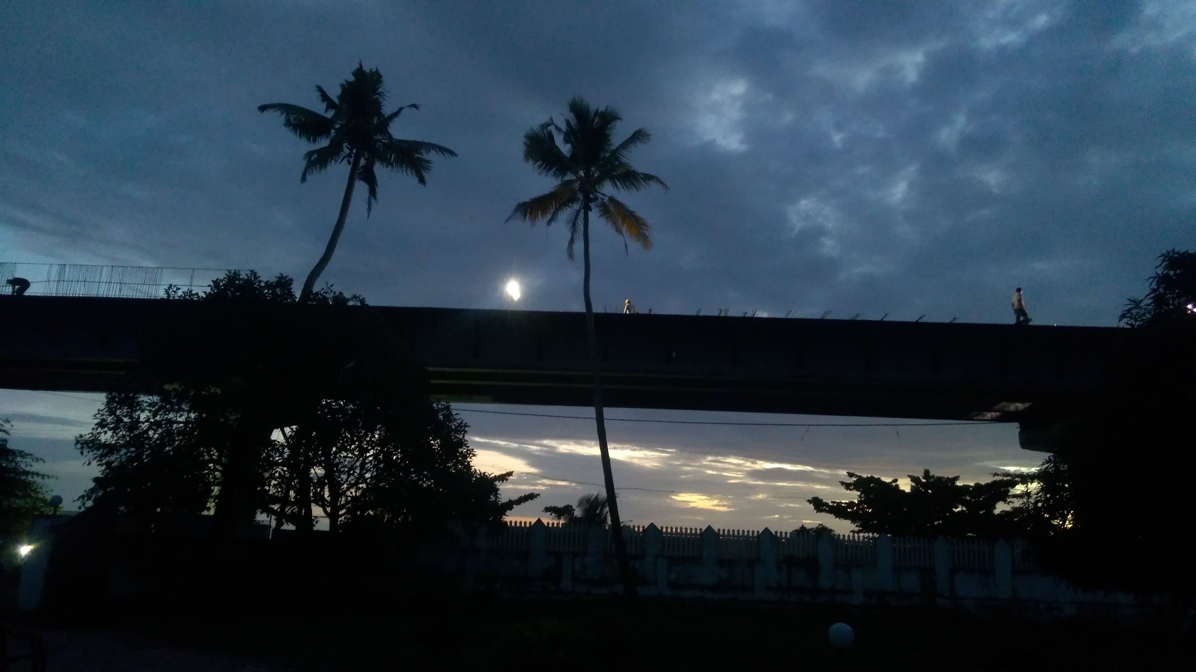 A bridge with two palm trees silhouetted against a twilight sky.