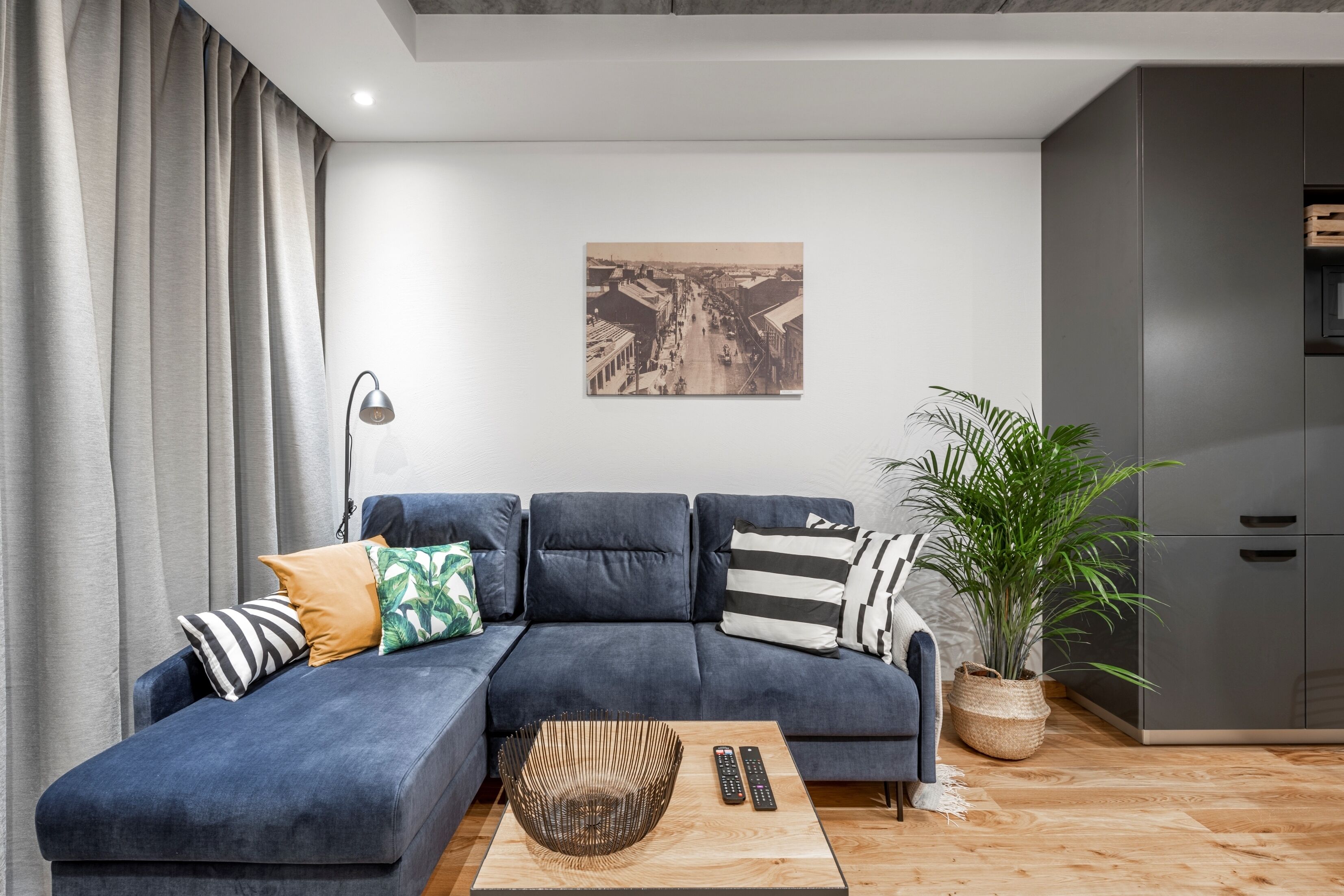 A modern living room with a sectional sofa, a coffee table, a potted plant, and a framed picture on the wall.