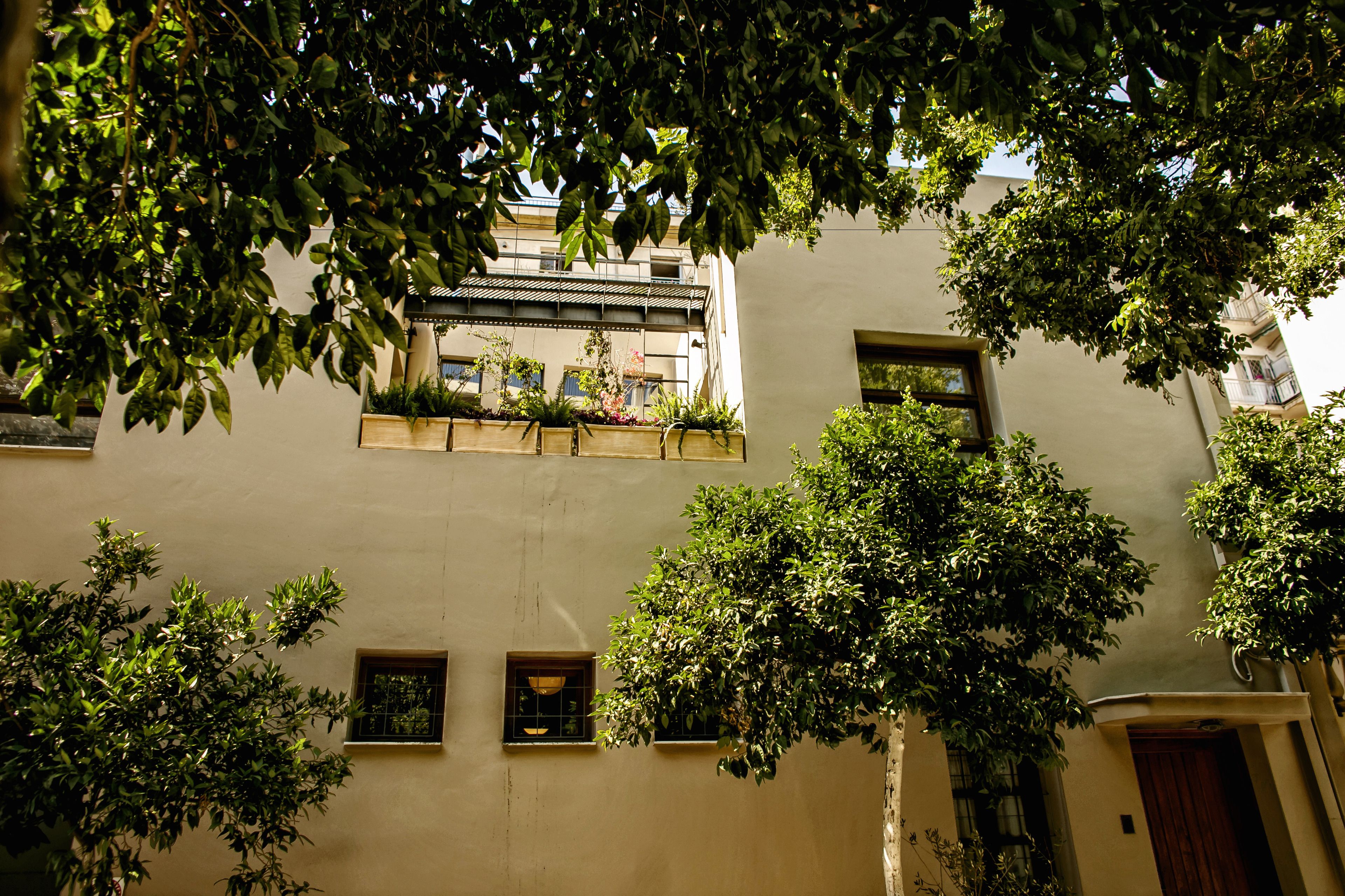 Photo - Villa Meliti